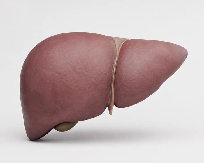 Liver Health & Function Tests at Malavia Advanced Laboratory